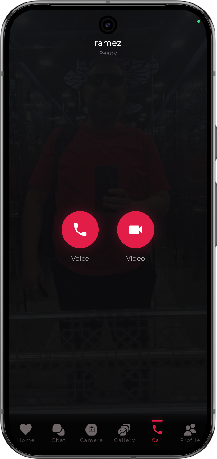 Voice and video call screen